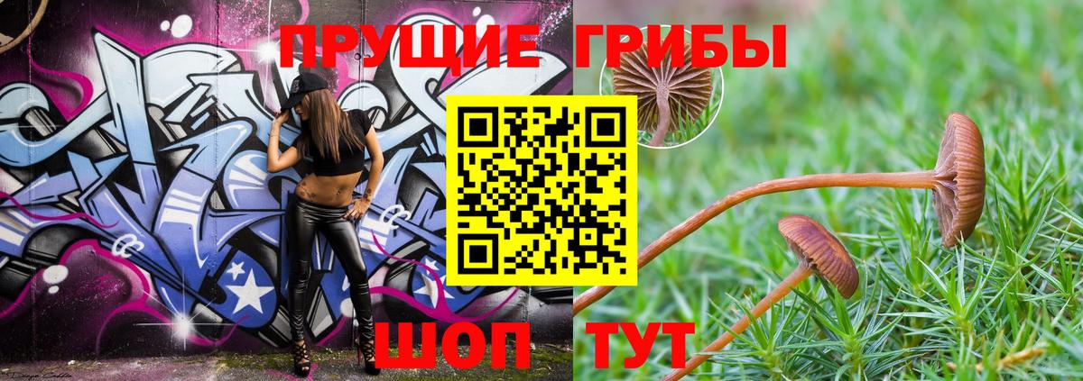 Галлюциногенные грибы MAGIC MUSHROOMS  Вход с VPN  Верхняя Салда  Псилоцибиновые грибы Psilocybine cubensis 