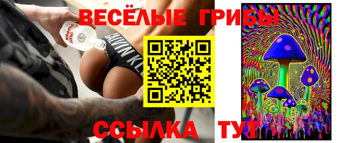 Галлюциногенные грибы прущие грибы Верхняя Салда